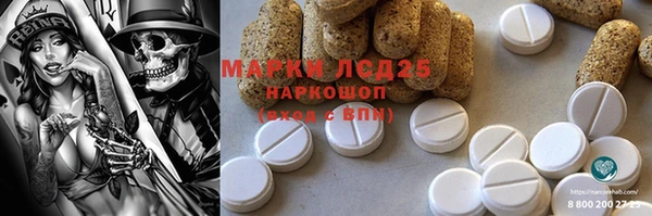 крисы Покачи